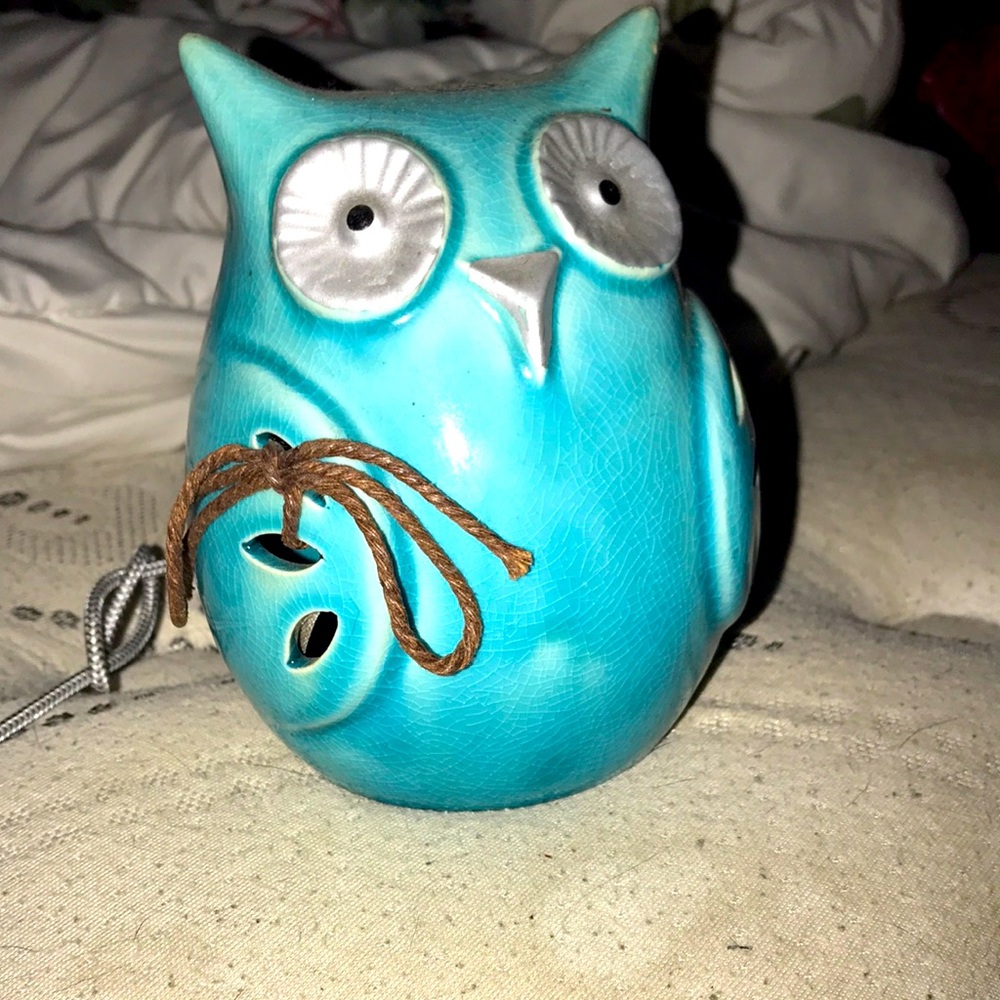 Its an owl trying to help my mom out on money cuz we going thur sum hard things